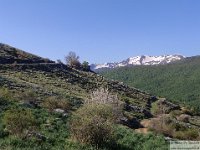 2026-05-09 Le cime di Casamaina 038